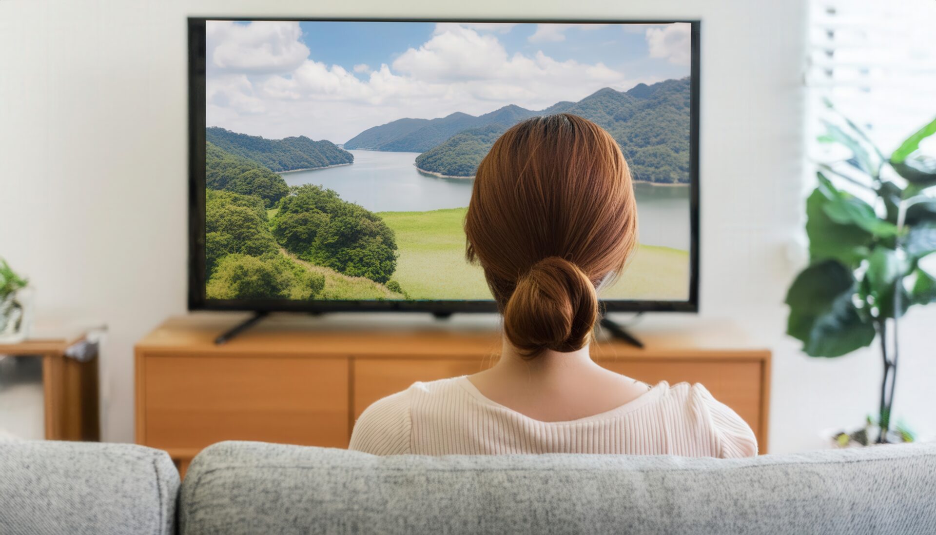 テレビ鑑賞と自然風景 (1)