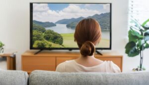 テレビ鑑賞と自然風景 (1)