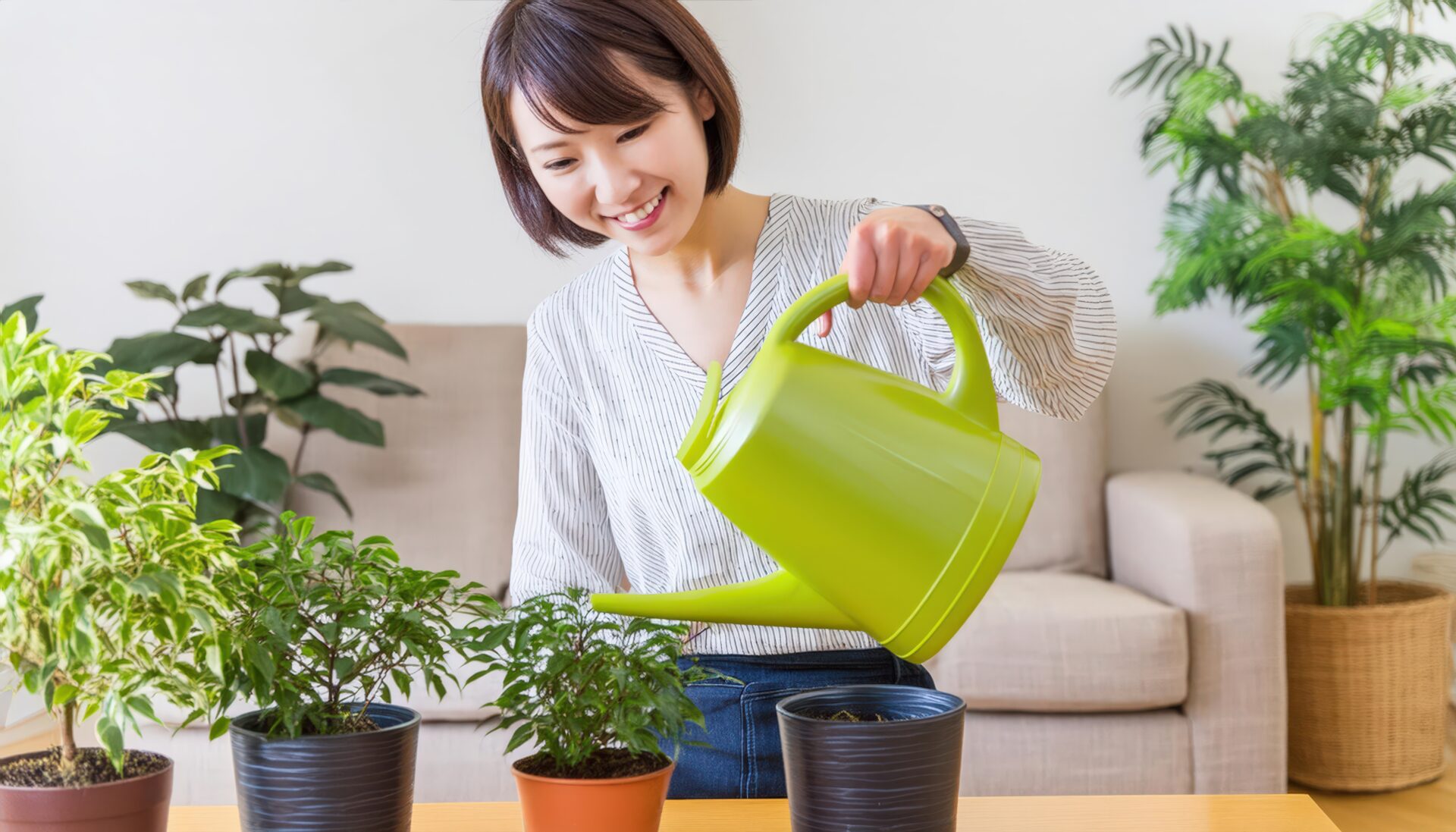 明るい部屋で鉢植えに水やりする女性
