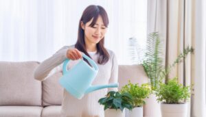 青いジョウロで観葉植物に水をやる女性