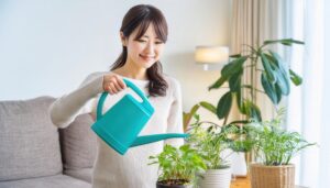 室内で観葉植物に水を注ぐ笑顔の女性