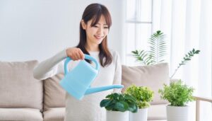 室内でジョウロを使い観葉植物を育てる女性