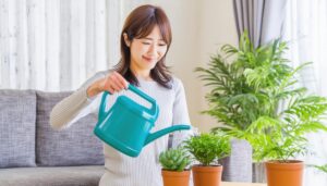 リビングでジョウロを持ち植物を育てる女性