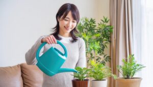 室内で観葉植物に水を注ぐ女性
