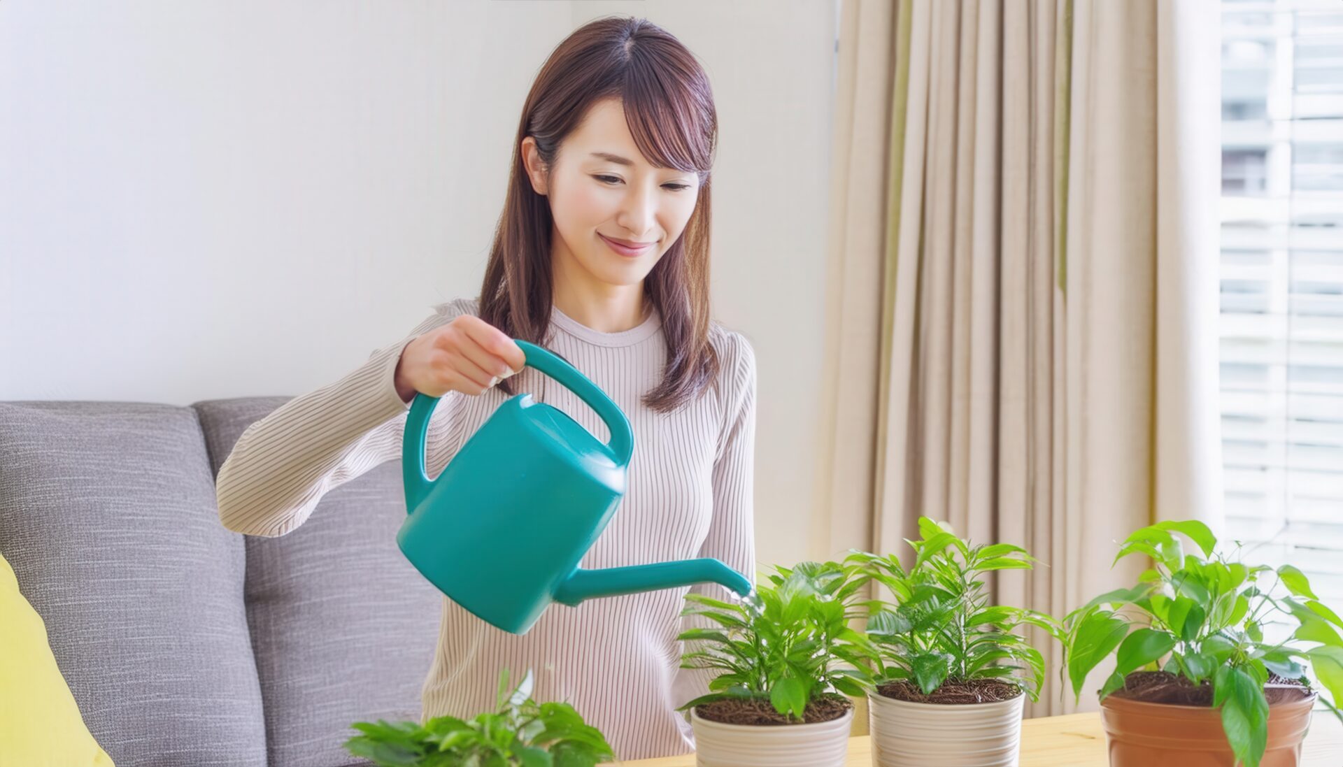 観葉植物にジョウロで水をやる女性