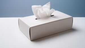 取り出しかけの白いティッシュボックス