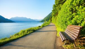 湖畔のベンチと緑の遊歩道