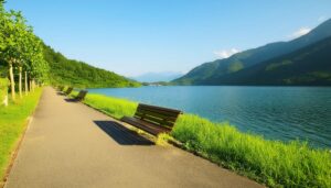 湖畔のベンチと並木道