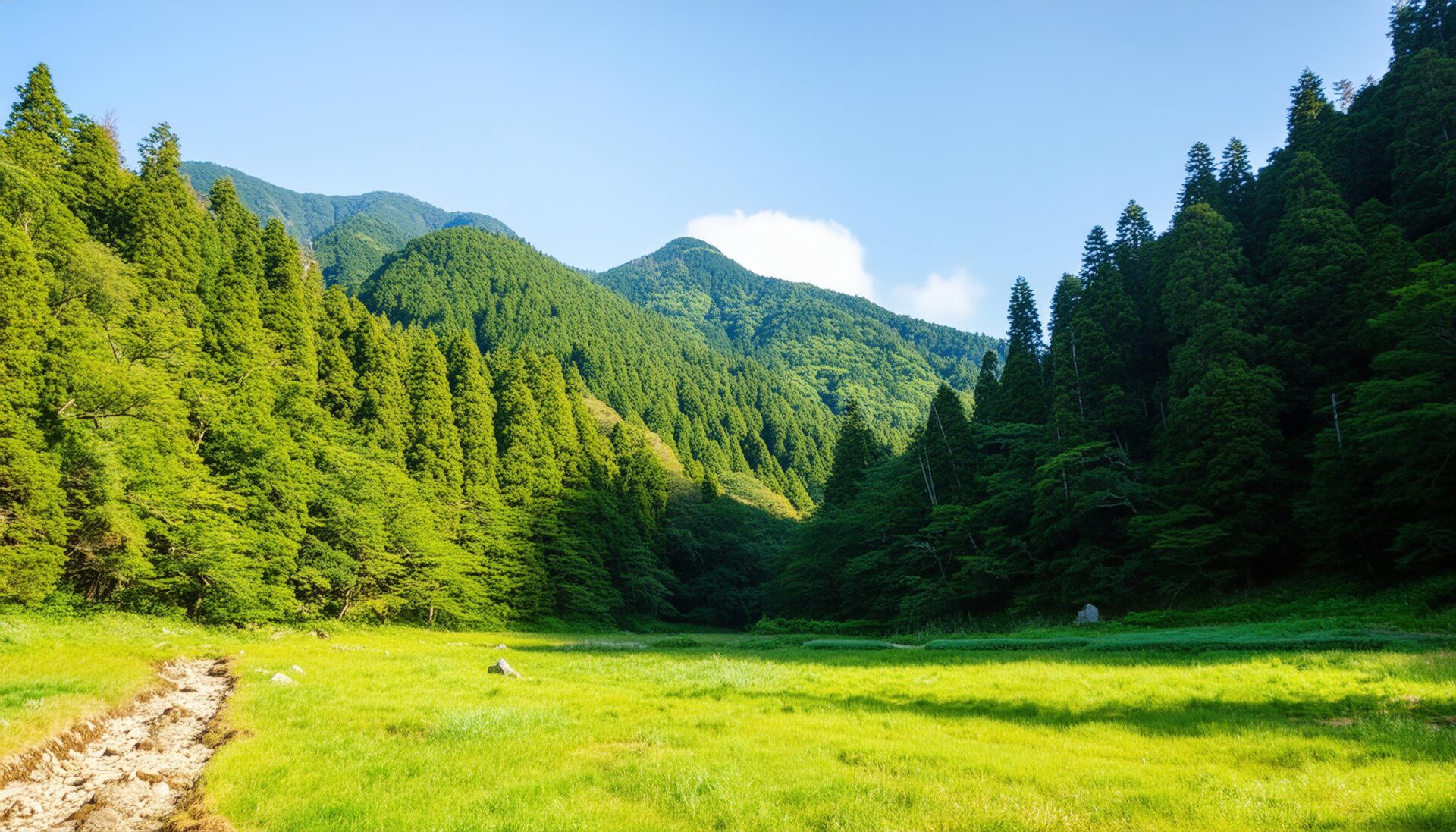 森に囲まれた草原