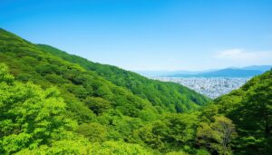 緑の山と都市