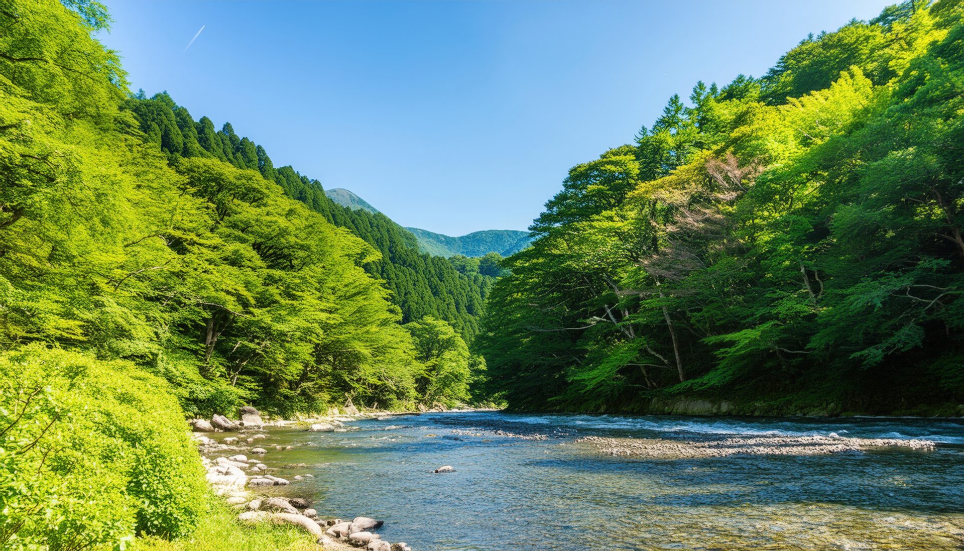 森と川の風景