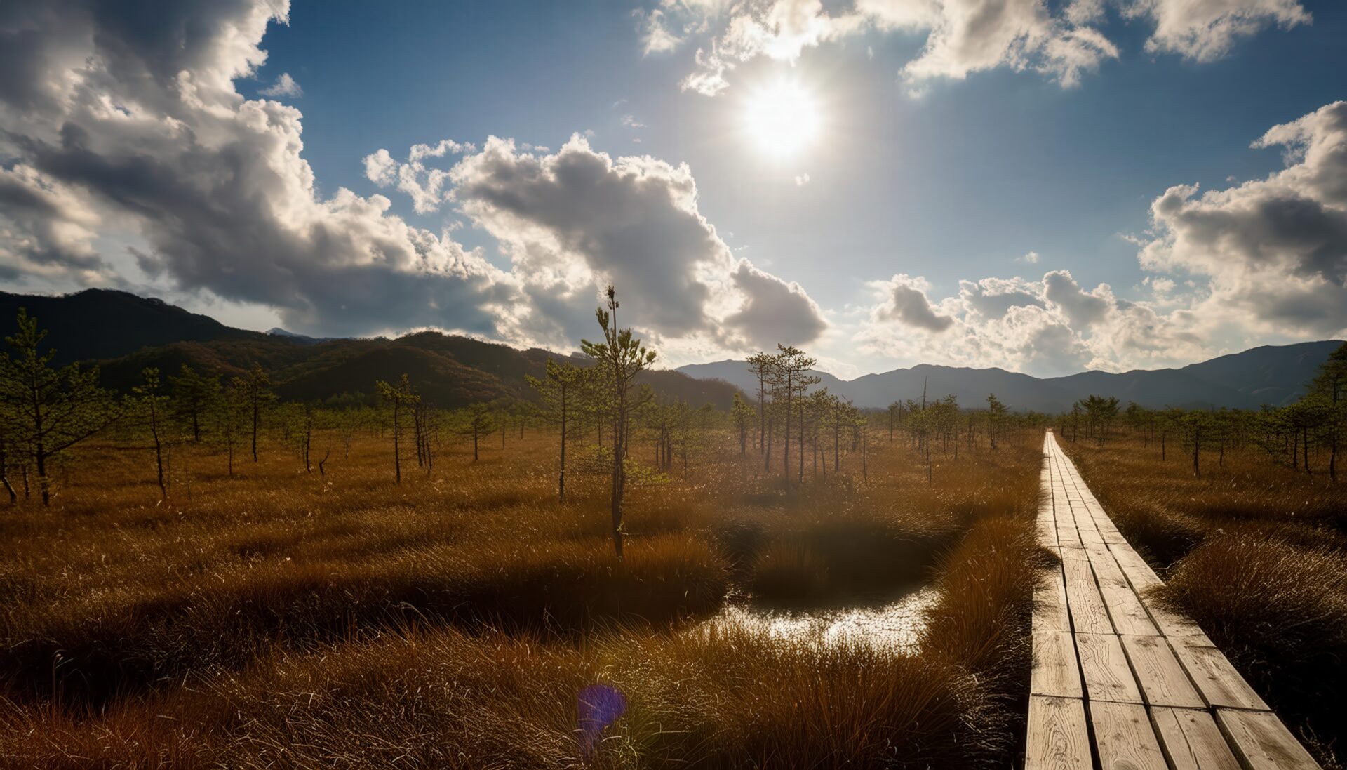 秋の湿原と木道