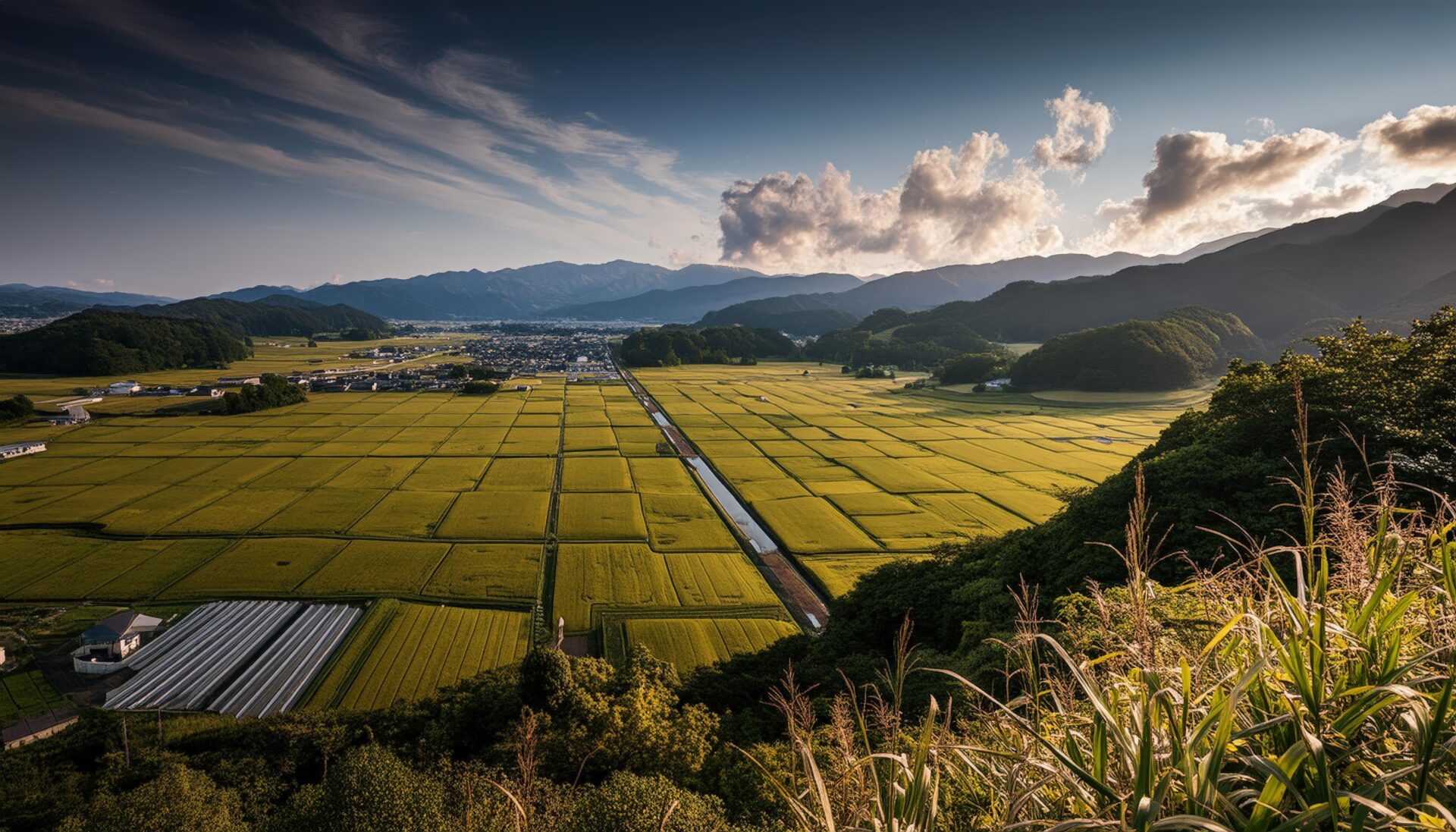 夕暮れの田園風景