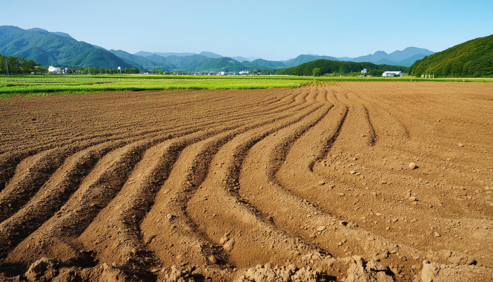 耕された畑の畝