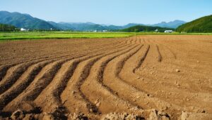 耕された畑の畝