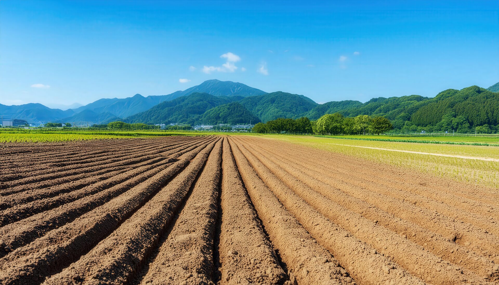 山並みと畝の畑