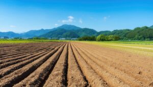 山並みと畝の畑