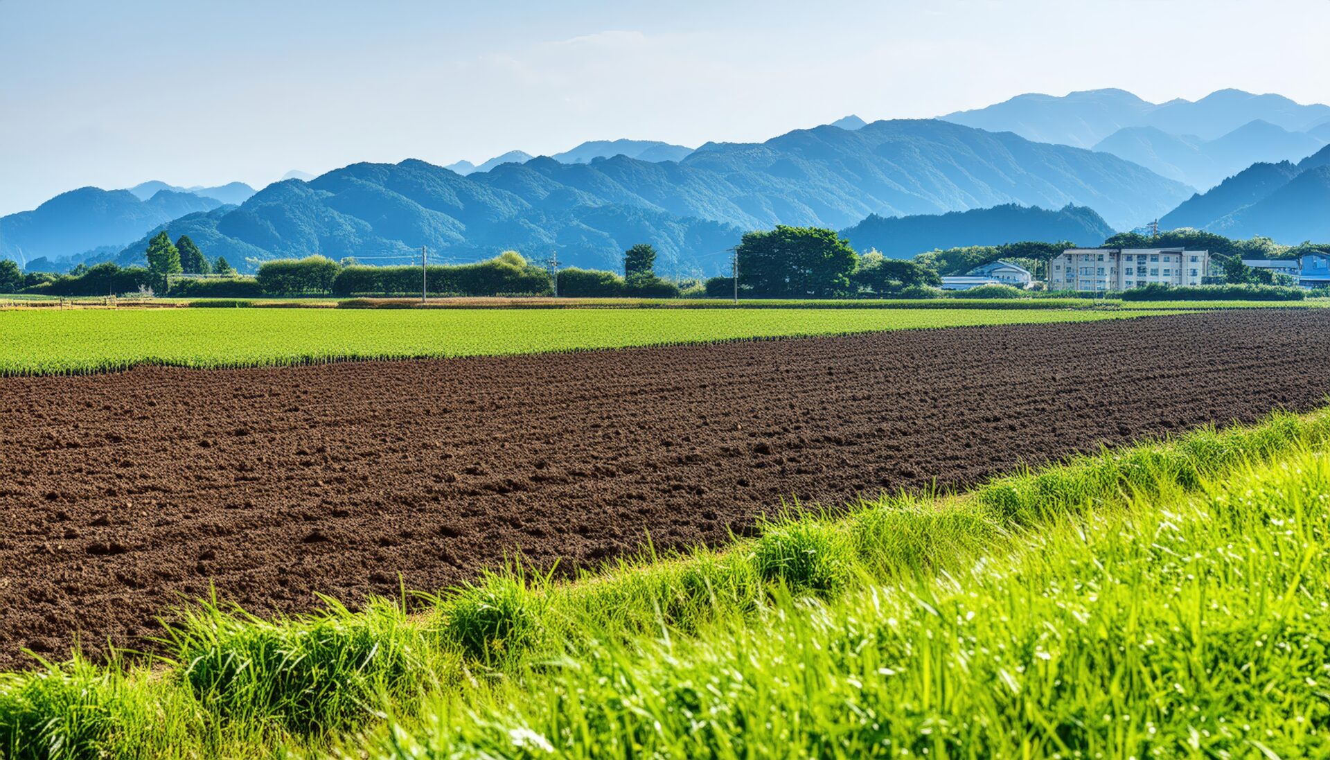 畑と田園の風景