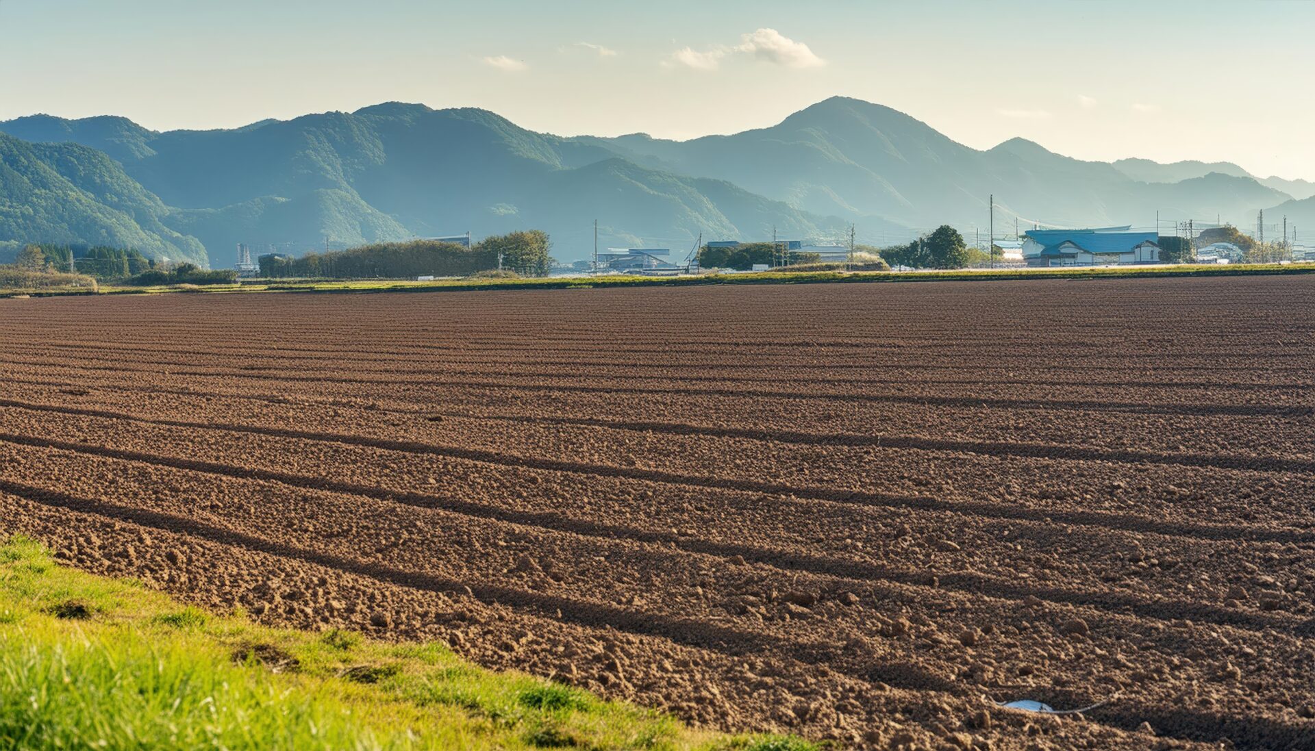 田園と畑の広がり