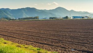 田園と畑の広がり