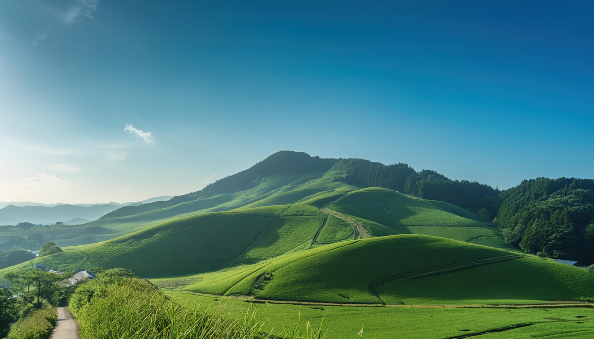 なだらかな緑の丘