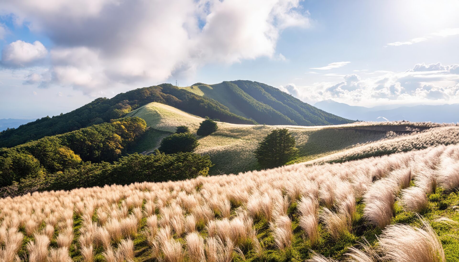 ススキの草原と山