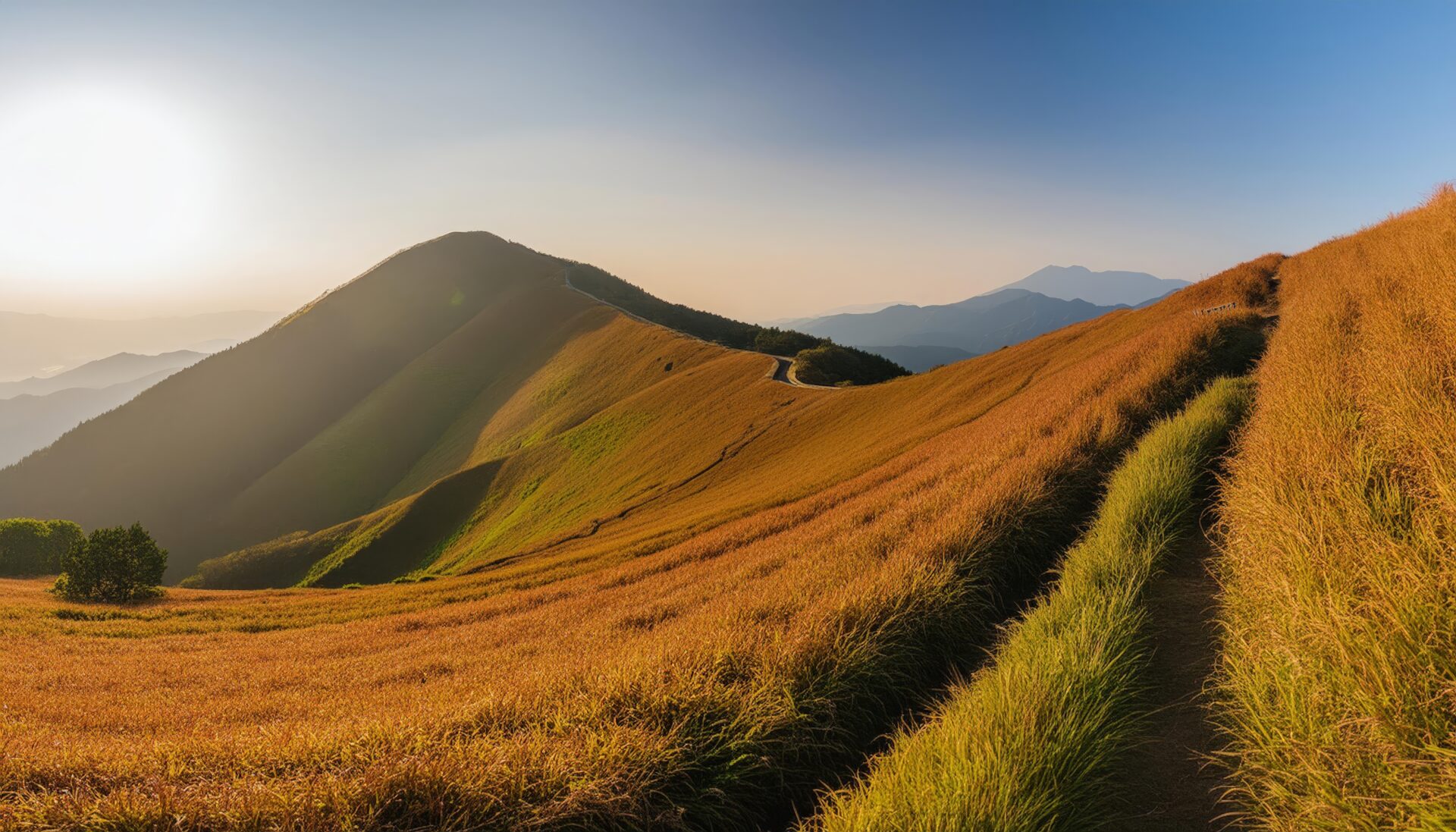秋の丘陵と草原