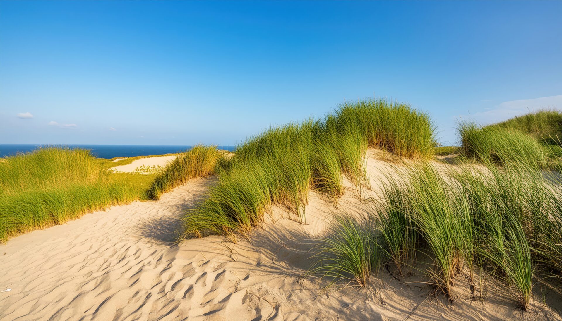 海に面した砂丘と緑のマルラム