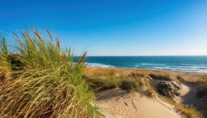 青い海に面した砂丘と草原