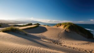 海岸沿いの砂丘と青い空の風景