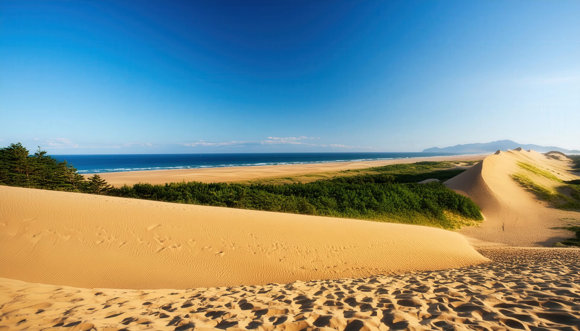 広大な海岸線と砂丘のパノラマ風景