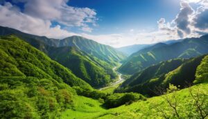 新緑の山と渓谷