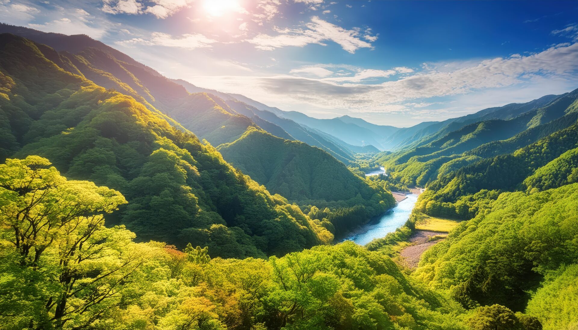 渓谷の川と春の新緑