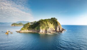 海に浮かぶ松林の島