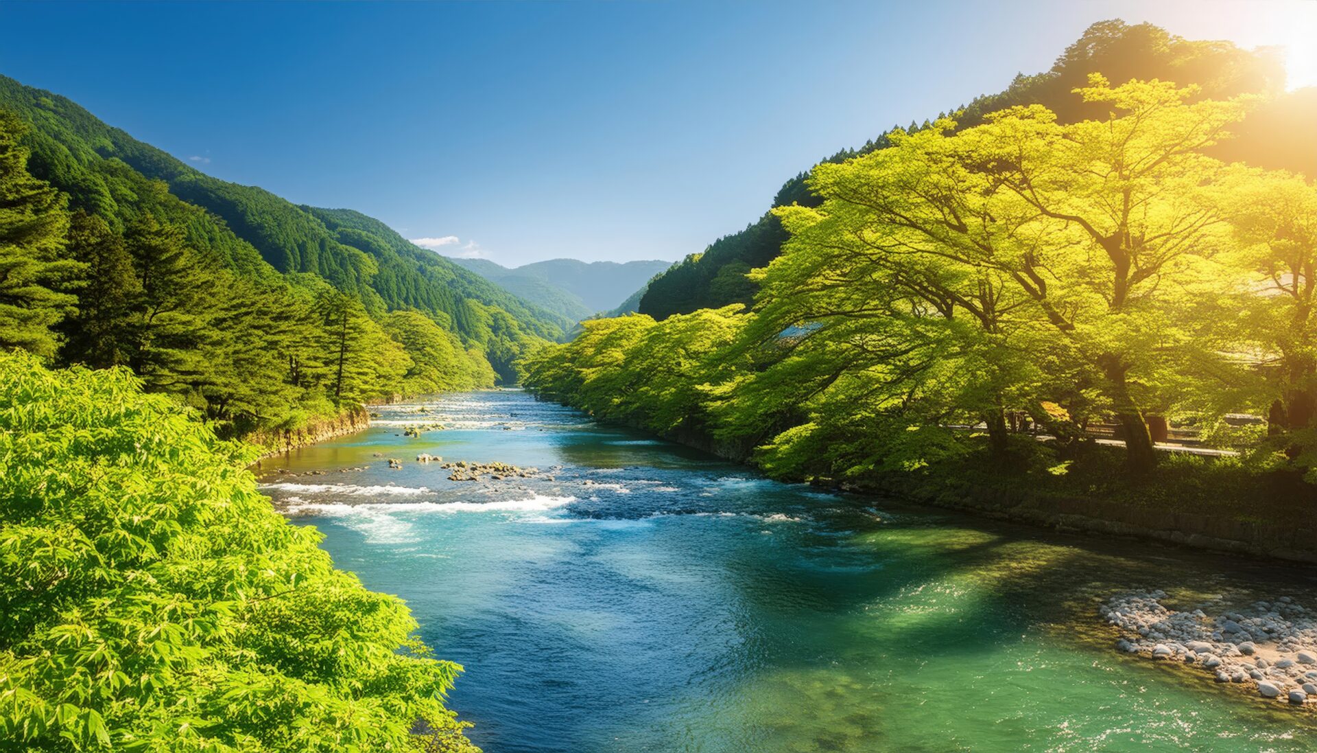 朝日に輝く新緑の渓谷と透明な清流