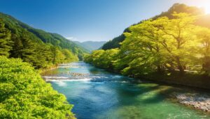 朝日に輝く新緑の渓谷と透明な清流