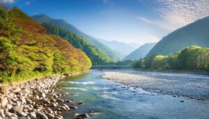 川辺の自然と橋