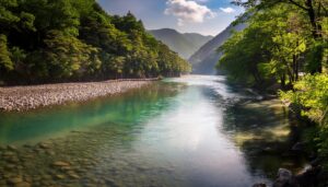 渓流と木漏れ日