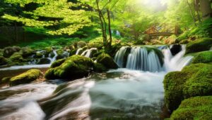 緑豊かな渓流と木製の橋