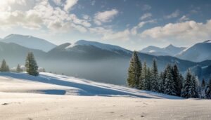 冬の山並みと森