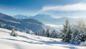 雪山と森林のパノラマ