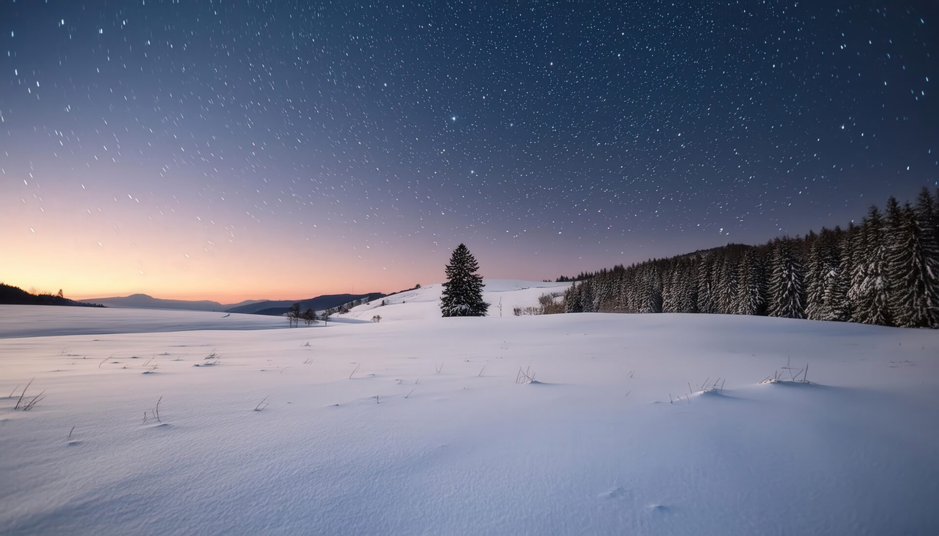 夜空に輝く星と雪原