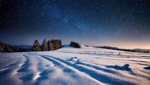 星空の下の雪原と森