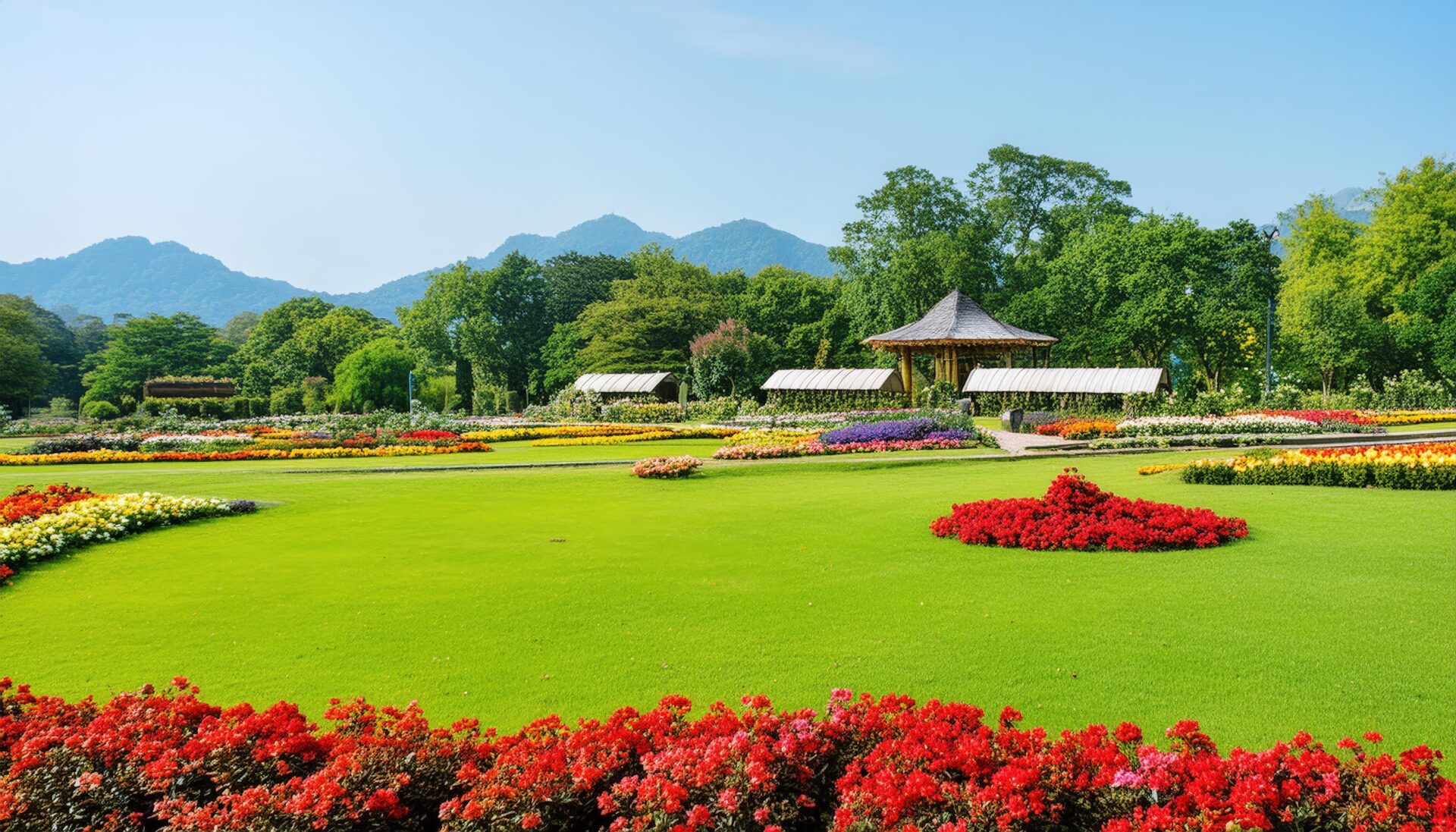 花と芝生が広がるガーデン