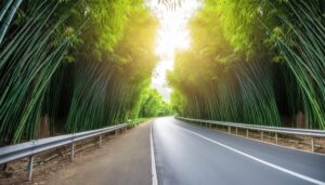 竹林の間を抜ける道路