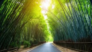 竹林の中の曲がりくねった道