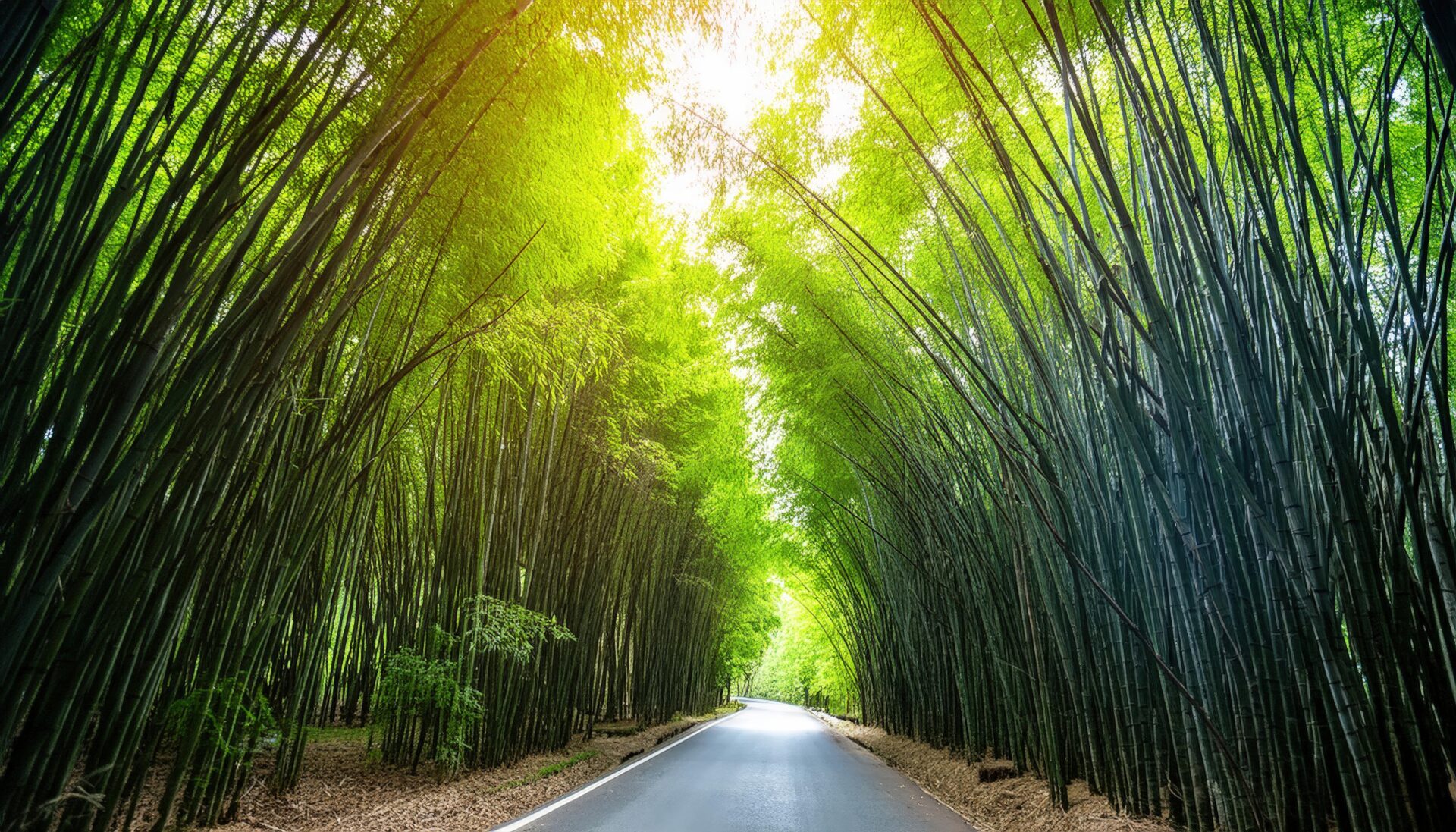 竹林と直線道路の風景
