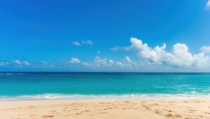 青空広がる南国の海