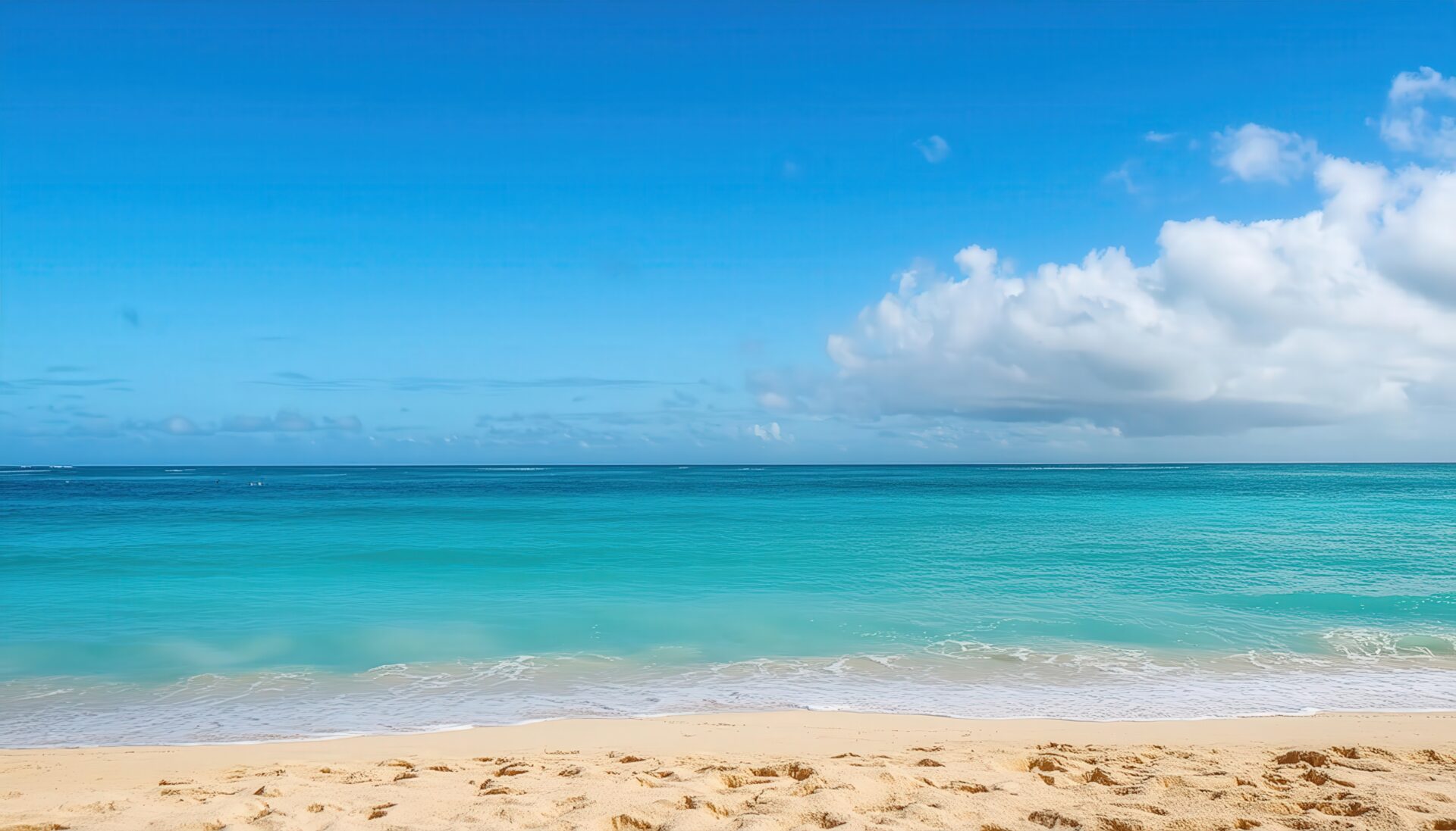 砂浜と広がる青い海