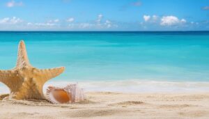 ヒトデと貝殻とビーチ